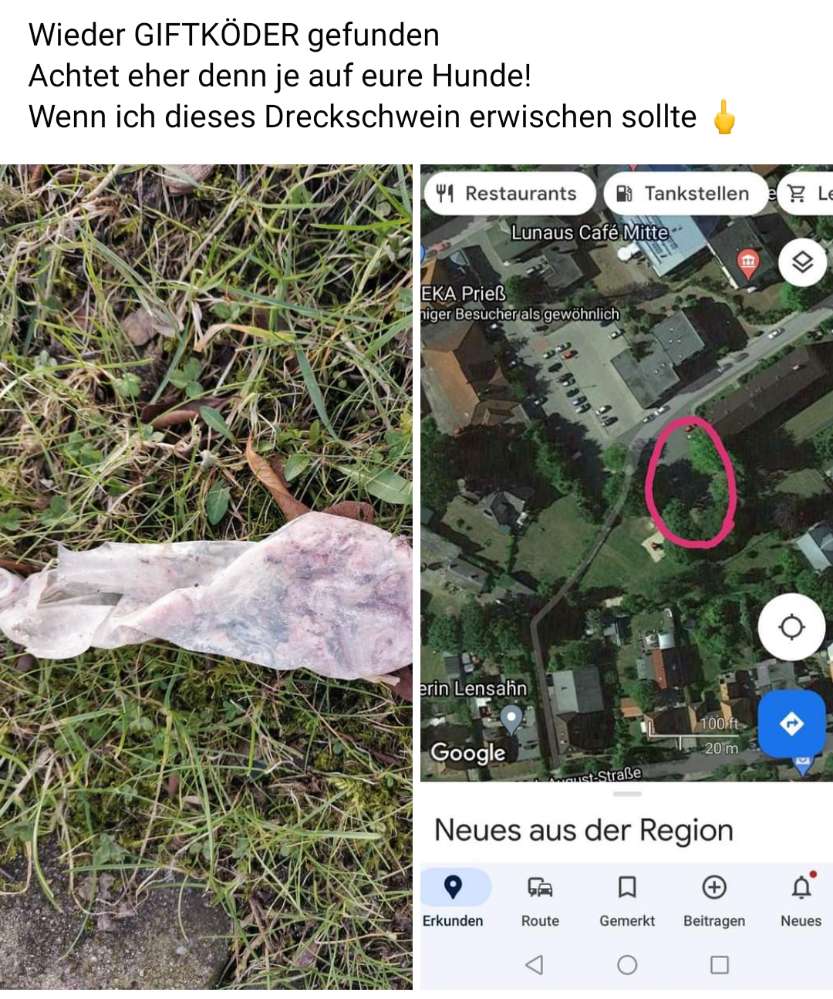 Giftköder-Giftköder-Profilbild