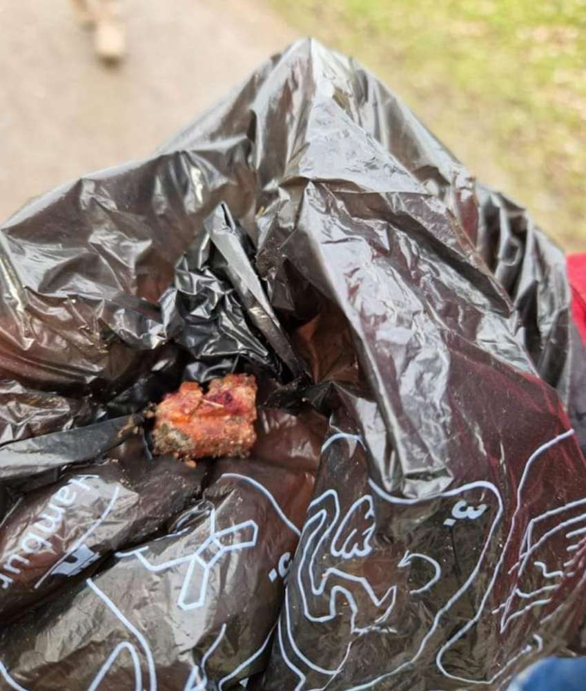 Giftköder-Giftköder gefunden-Profilbild