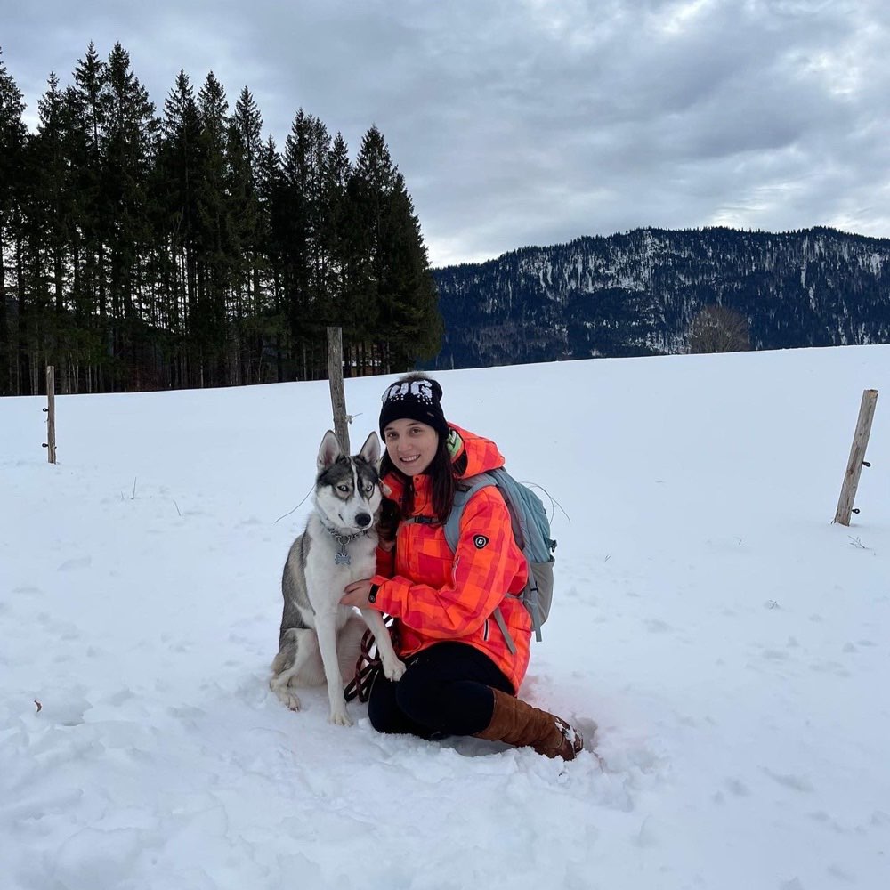 Hundetreffen-Gassi/ Spielpartner gesucht!-Profilbild