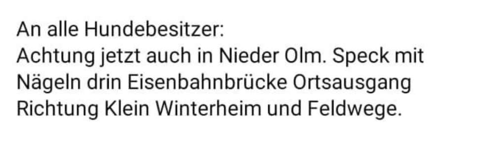 Giftköder-Speck mit Nägeln-Profilbild