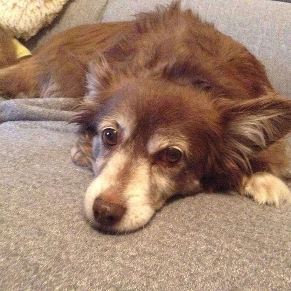 Suchmeldung-Tara-Profilbild