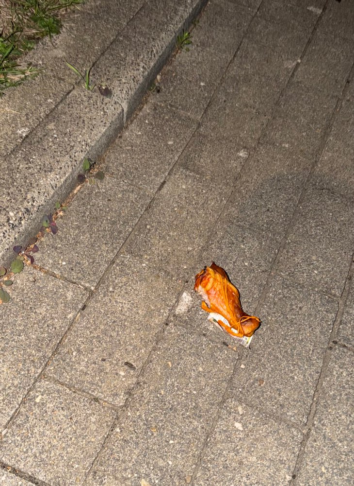 Giftköder-Möglicherweise Giftköder-Profilbild