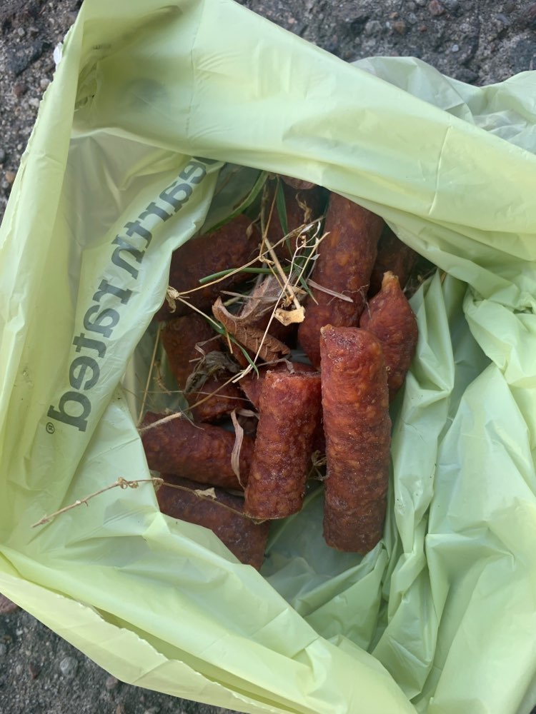 Giftköder-Wurststückchen auf Wiese ausgelegt-Profilbild