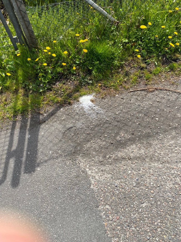 Giftköder-Evtl. Giftköder-Profilbild