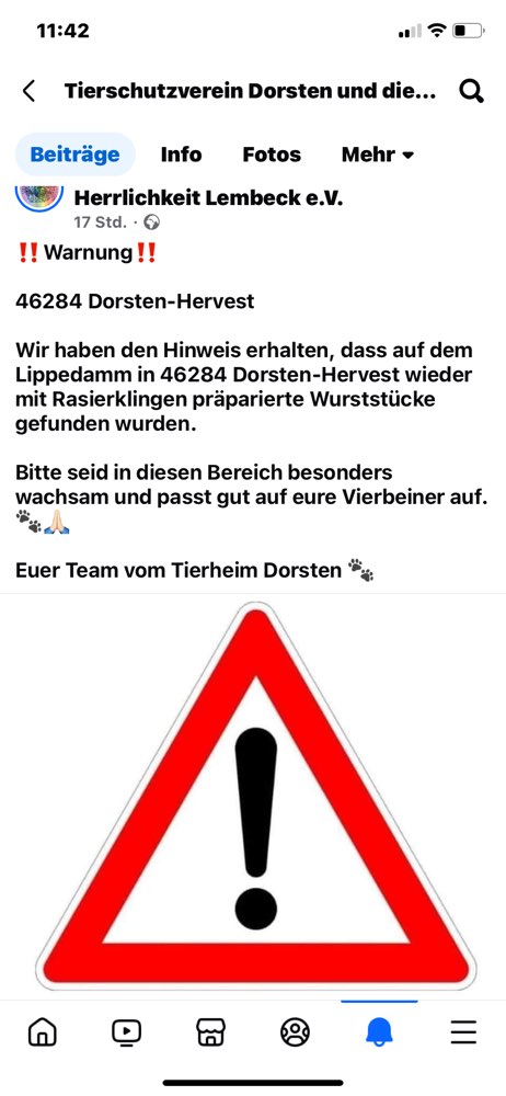 Giftköder-Rasierklingen präparierte Wurststücke-Profilbild