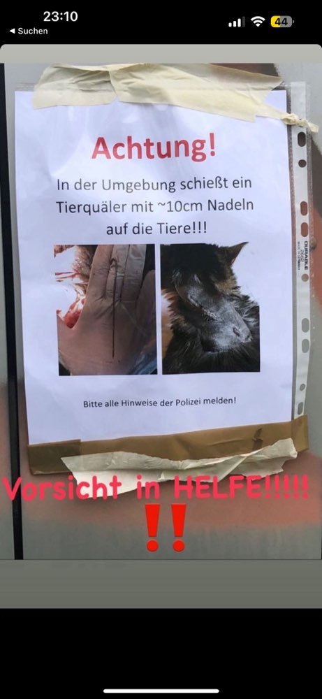 Giftköder-Tierhasser schießt mit Nadeln-Profilbild