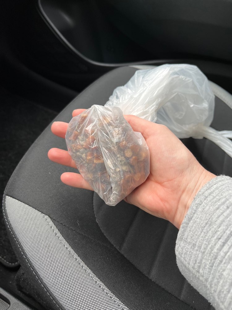 Giftköder-Köder-Profilbild