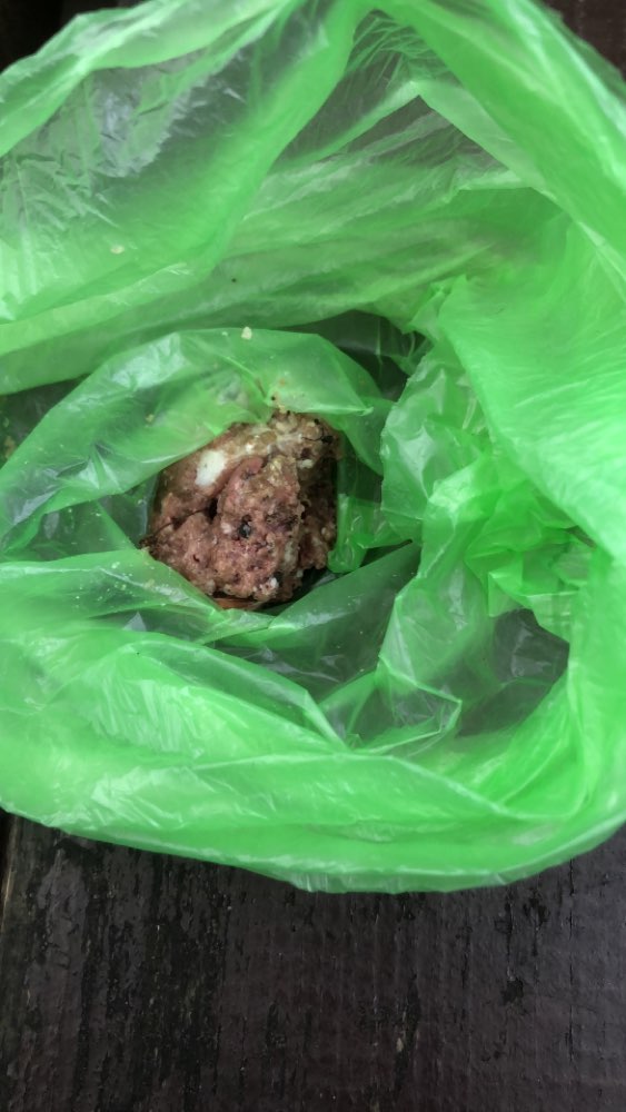 Giftköder-Möglicher Giftköder-Profilbild