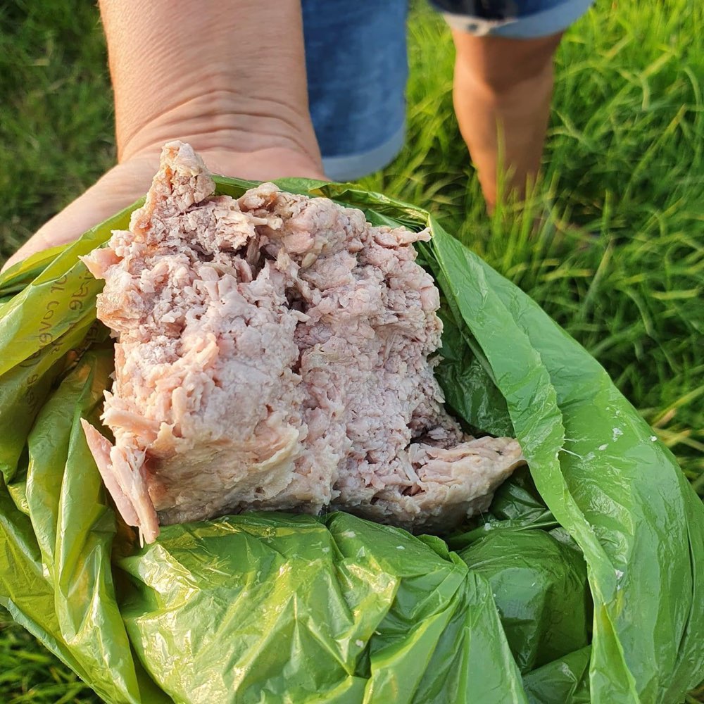 Giftköder-Verdacht Giftköder-Profilbild