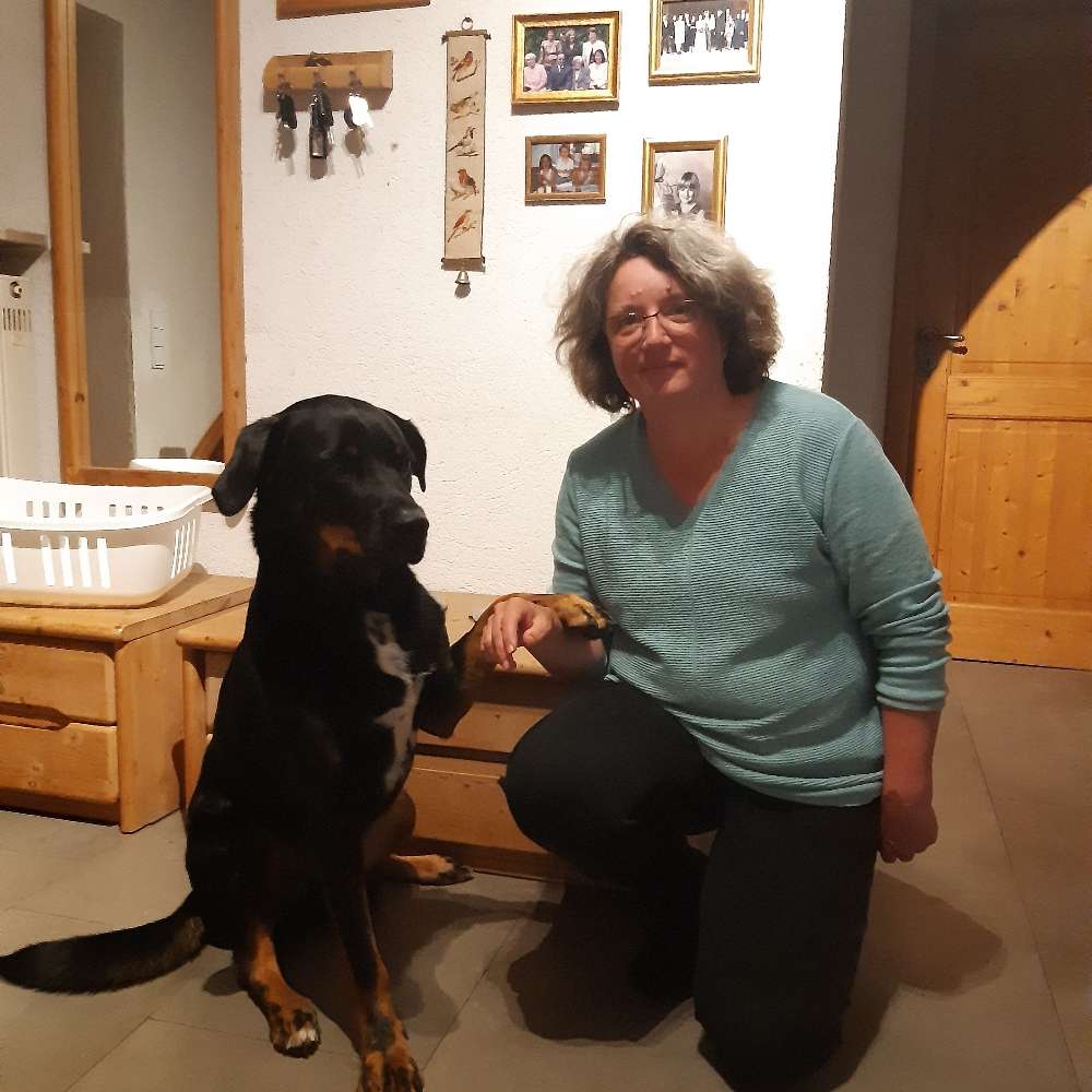 Hundetreffen-Gassigehen und Spielrunde-Profilbild