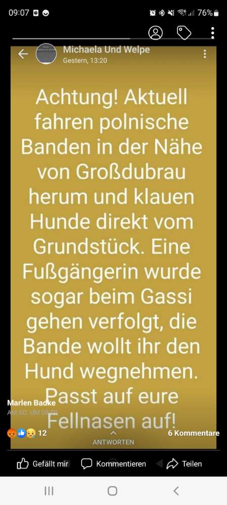 Giftköder-Hunde-Diebe unterwegs!-Profilbild