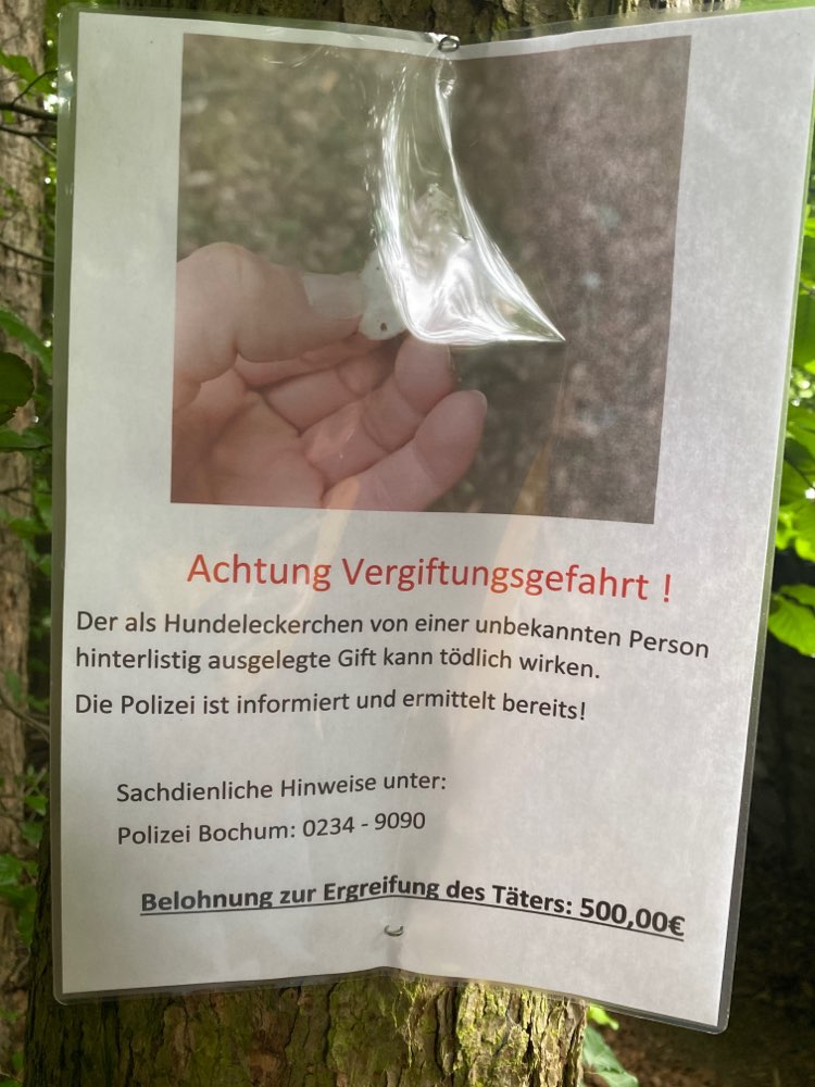 Giftköder-Speck mit Draht-Profilbild