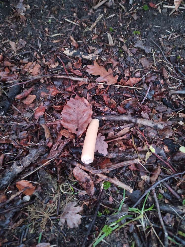 Giftköder-Wahrscheinlich Giftköder Wurst-Profilbild