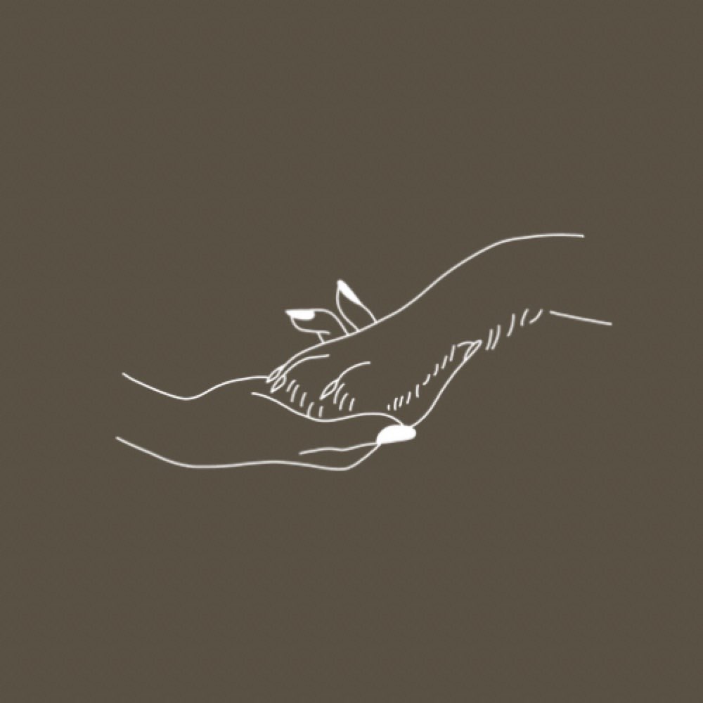 Hundetreffen-Social-Walk-Profilbild