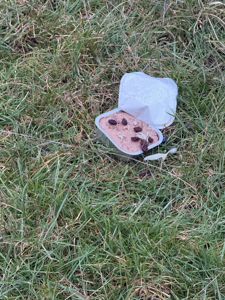 Giftköder-Giftköder-Profilbild