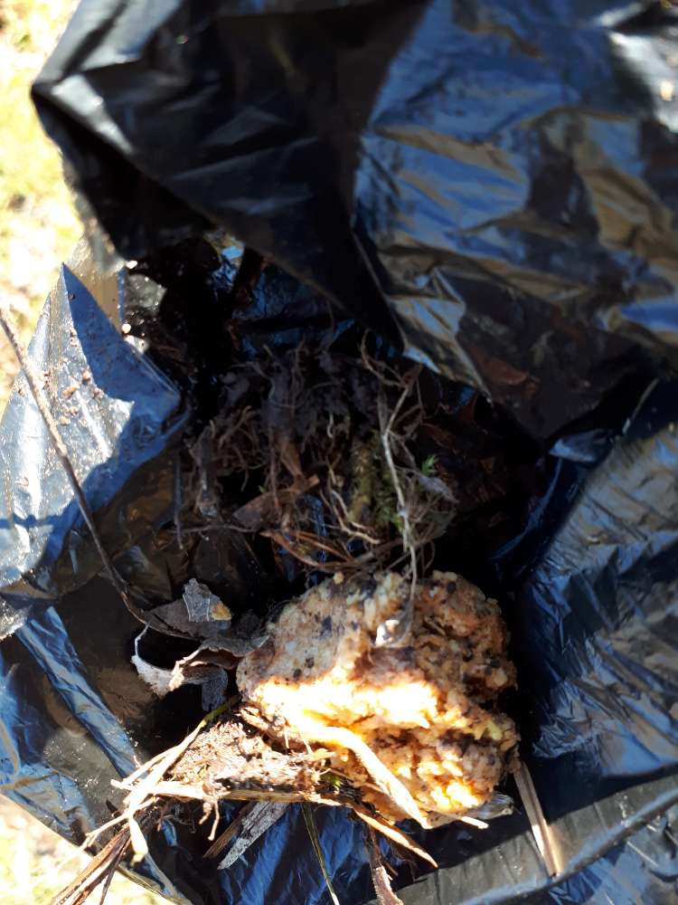 Giftköder-Giftköder-Profilbild