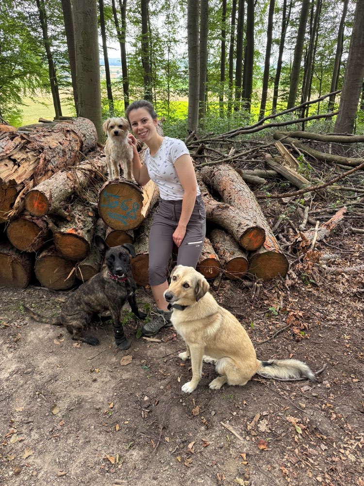 Hundetreffen-Social Walk-Profilbild