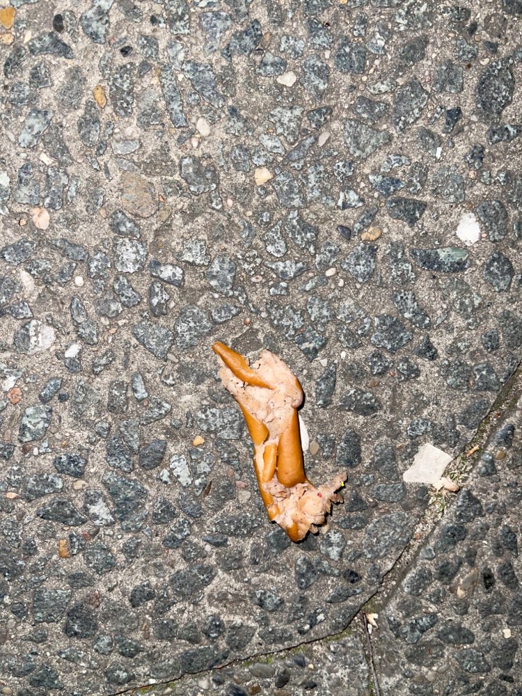 Giftköder-Verdacht auf Giftköder-Profilbild