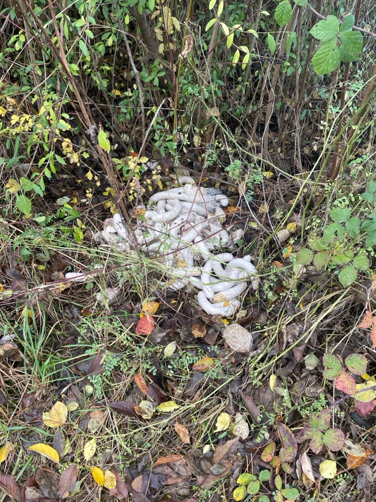 Giftköder-Würste am Feldrand-Profilbild