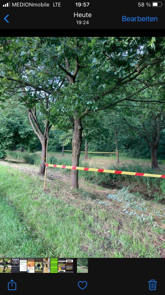 Giftköder-Eichenprozessionsspinner-Profilbild