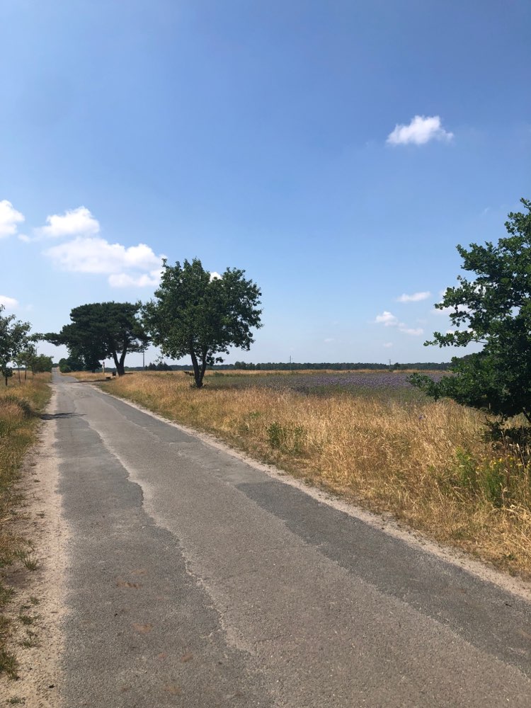 Giftköder-Präparierte Wurst mit Schrauben-Profilbild