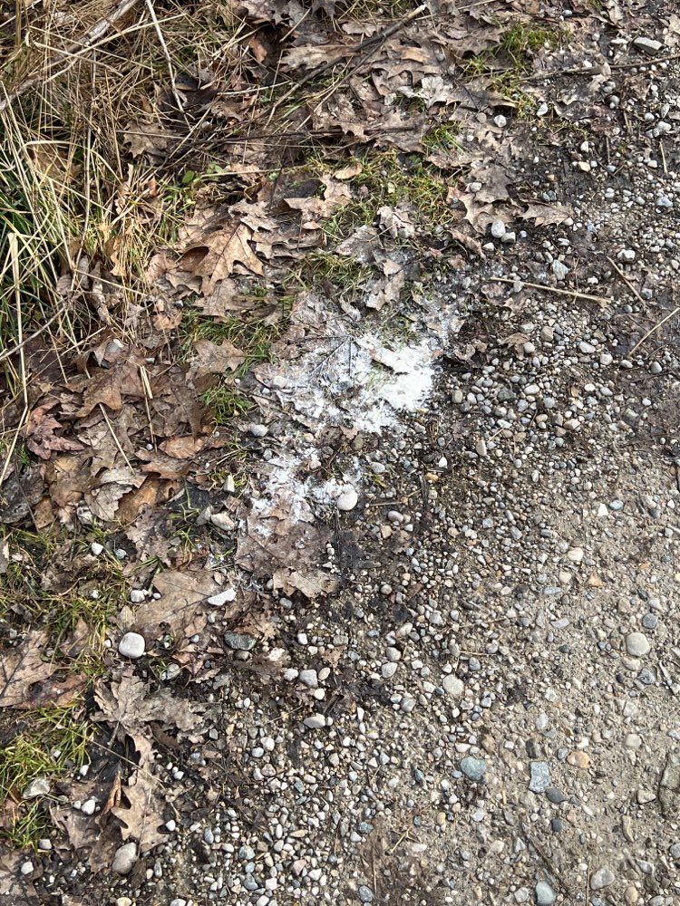 Giftköder-Weißes Pulver-Profilbild