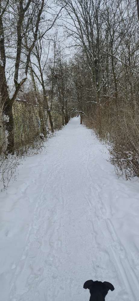 Giftköder-Giftköder-Profilbild