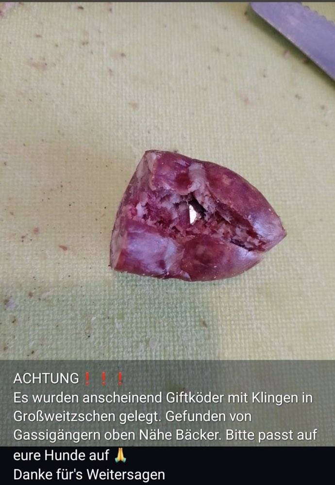 Giftköder-Giftköder-Profilbild