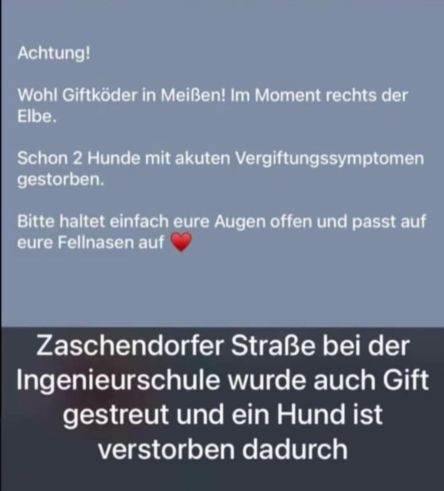 Giftköder-Giftköder-Profilbild