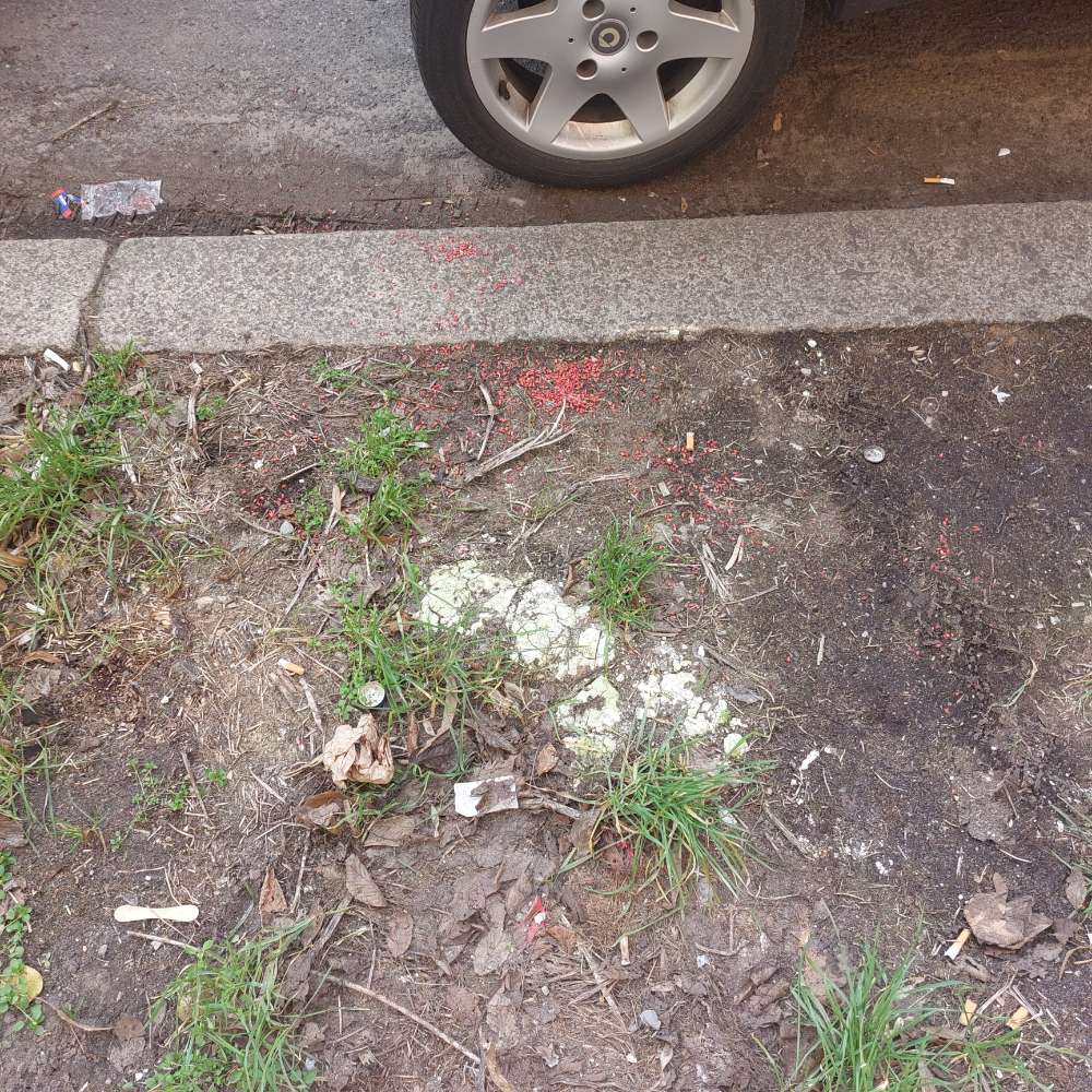 Giftköder-Rattengift-Profilbild