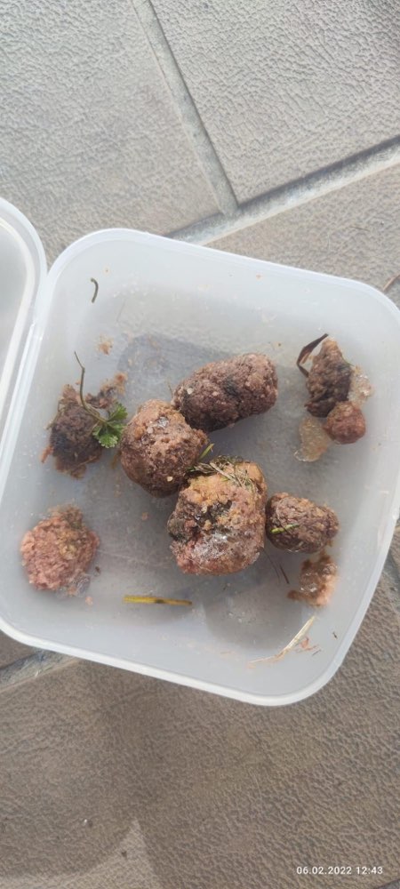 Giftköder-Vermutlich Giftköder-Profilbild