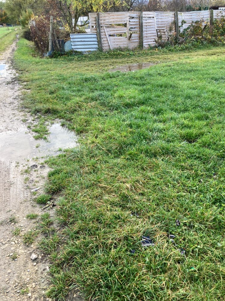 Giftköder-Glasscherben im Gras-Profilbild