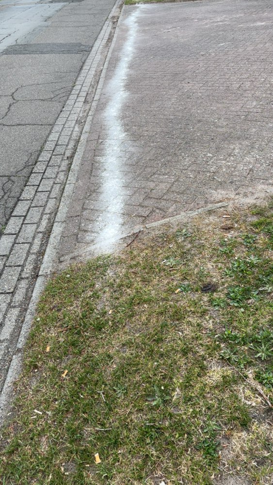 Giftköder-.-Profilbild