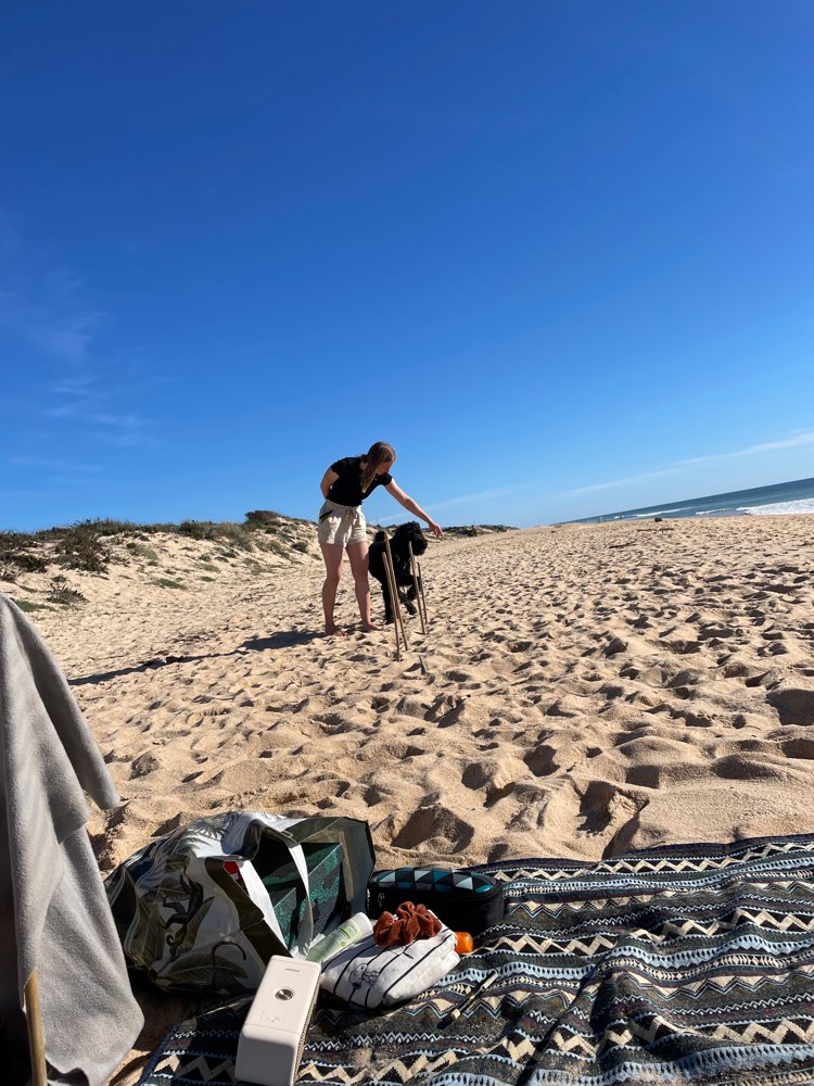 Hundetreffen-Trainingspartner-Profilbild