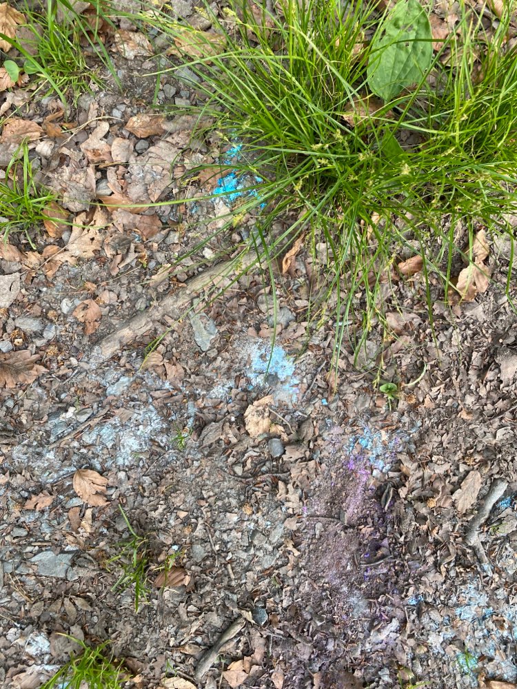 Giftköder-Giftköder-Profilbild