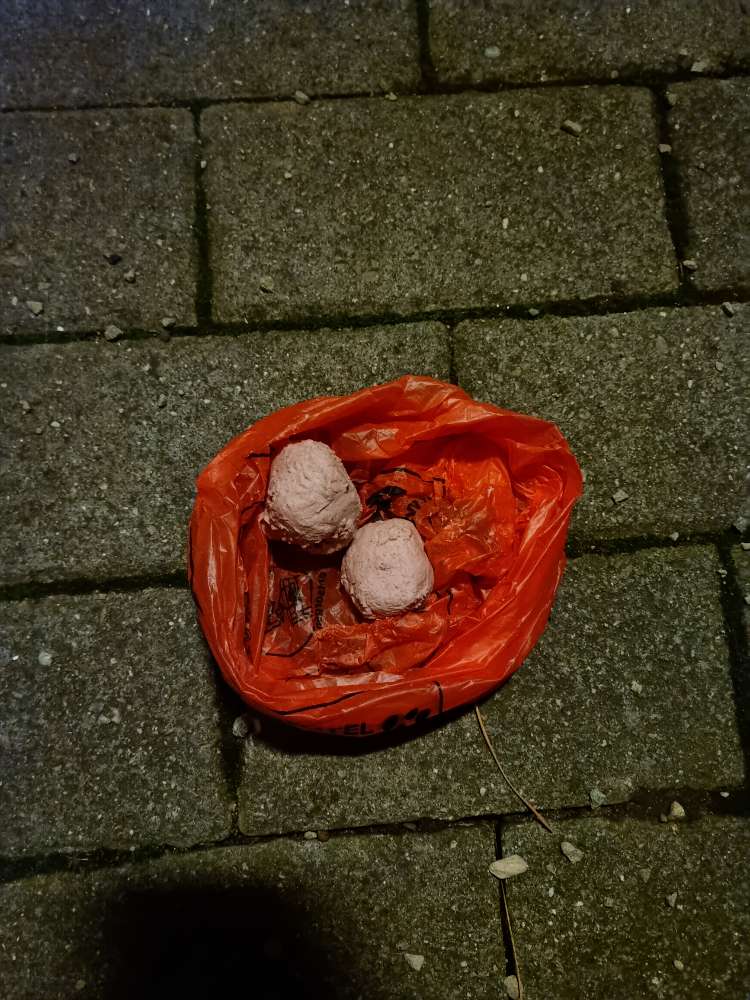 Giftköder-Giftköder-Profilbild