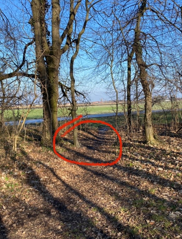 Giftköder-Ausgelegte Brotstücke-Profilbild