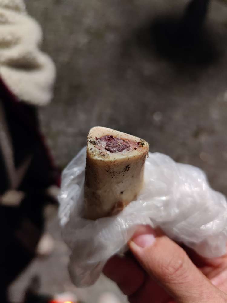 Giftköder-Ausgelegter gefüllter Knochen-Profilbild