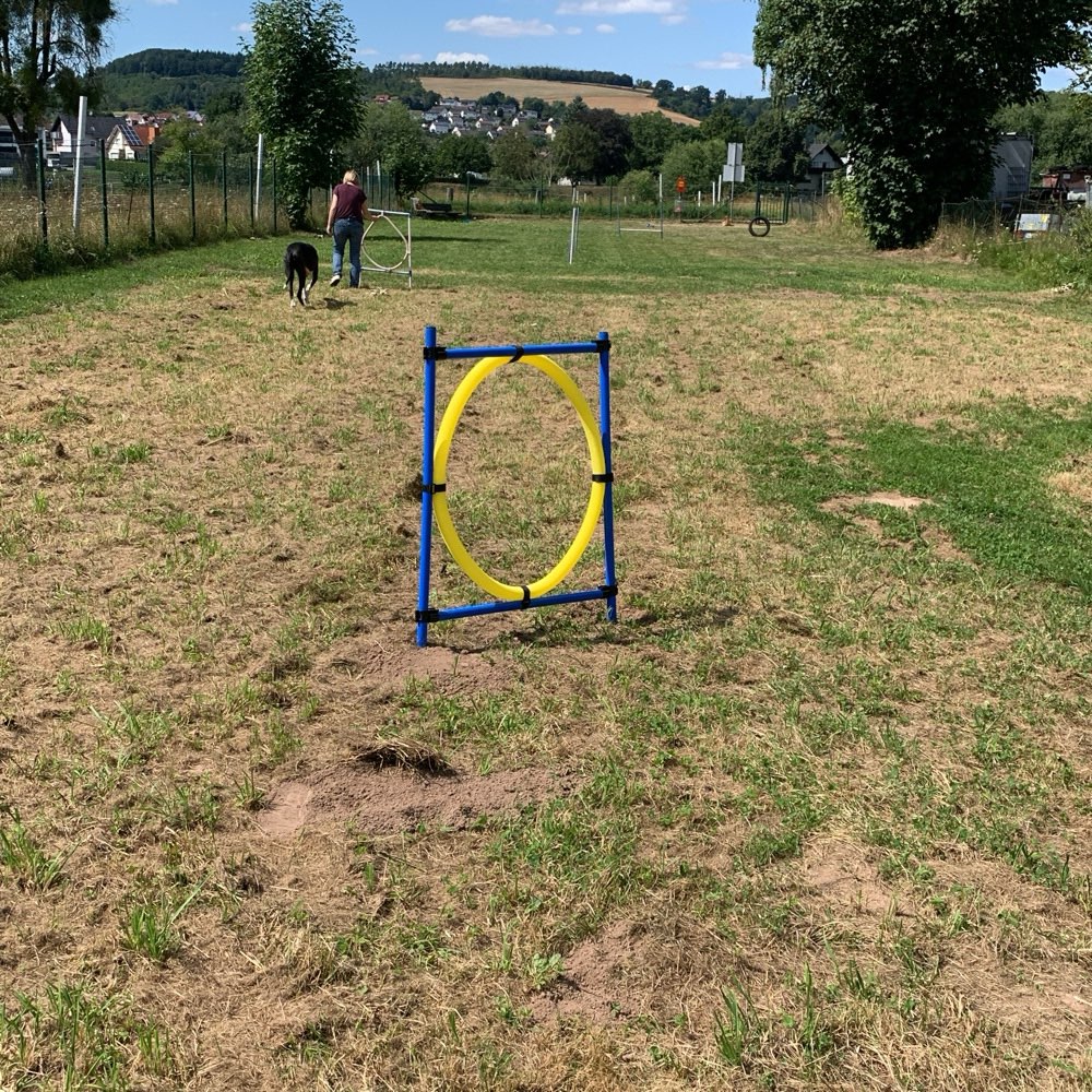 Hundetreffen-Senioren Treff-Profilbild