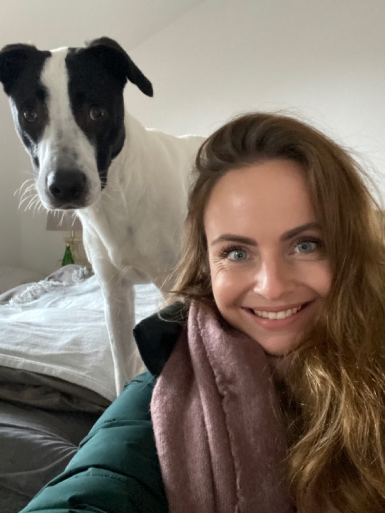 Hundetreffen-Spielkumpel und Gassi gehen-Profilbild