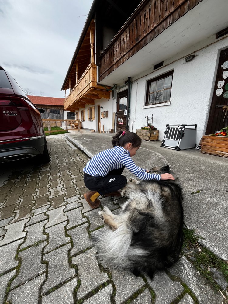 Hundetreffen-Gassirunde für Tochter ( 8 Jahre ) gesucht-Profilbild