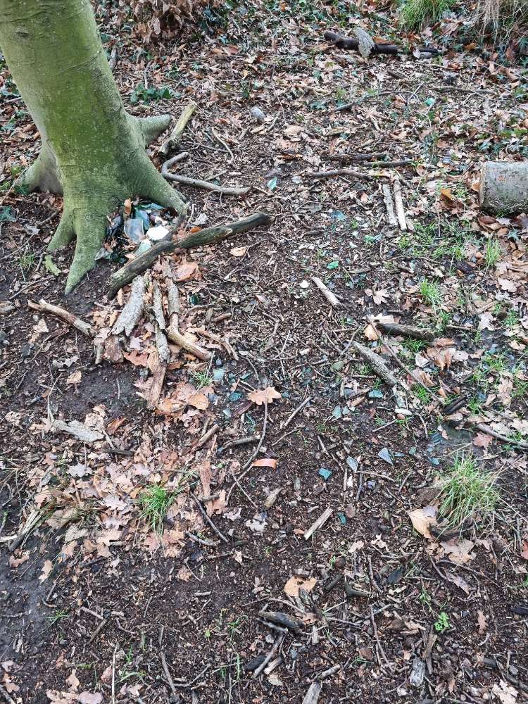 Giftköder-Glasscherben-Profilbild