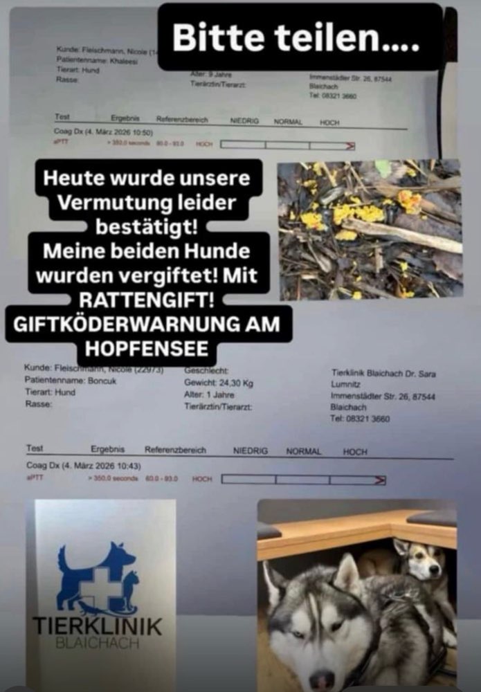 Giftköder-Giftköder Hopfensee-Profilbild