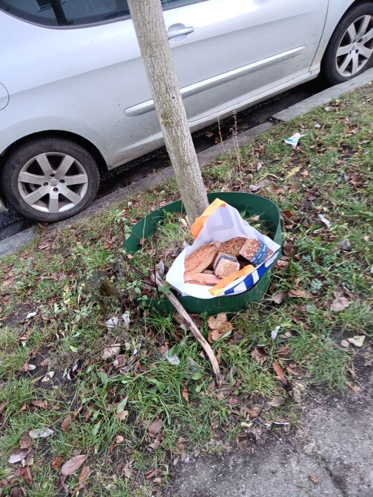 Giftköder-Große Menge Brot-Profilbild