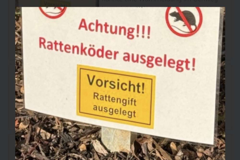 Giftköder-Rattengift-Profilbild