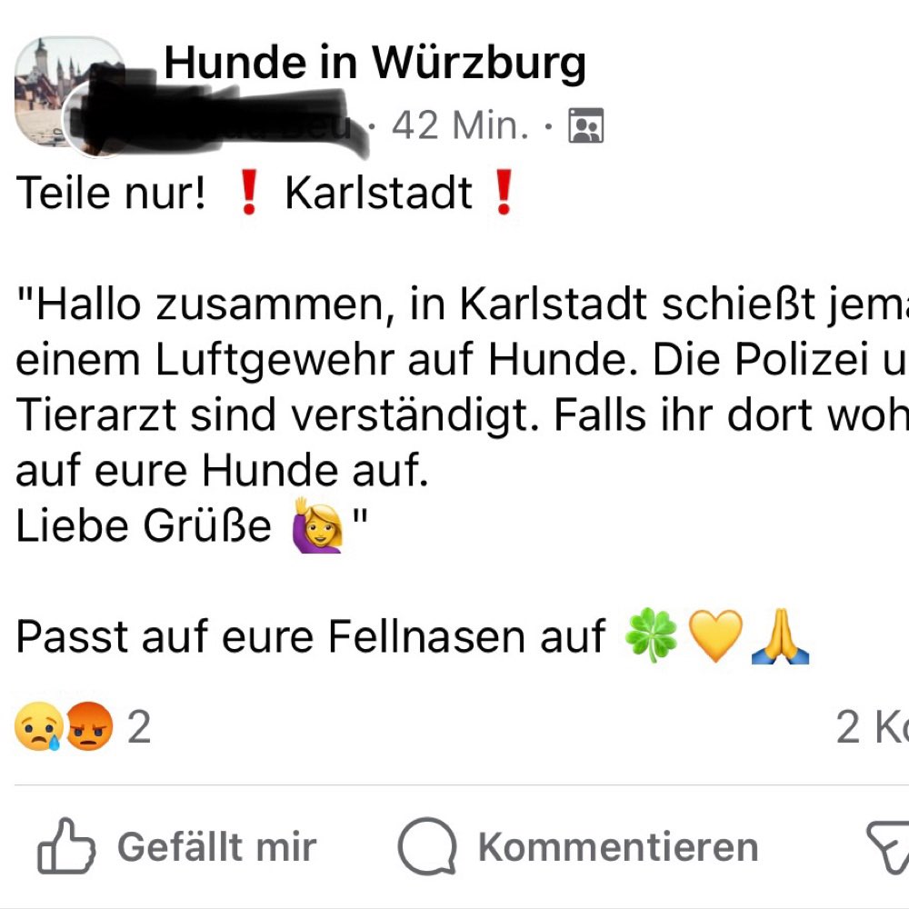 Giftköder-Hunde mit Luftgewehr beschossen-Profilbild