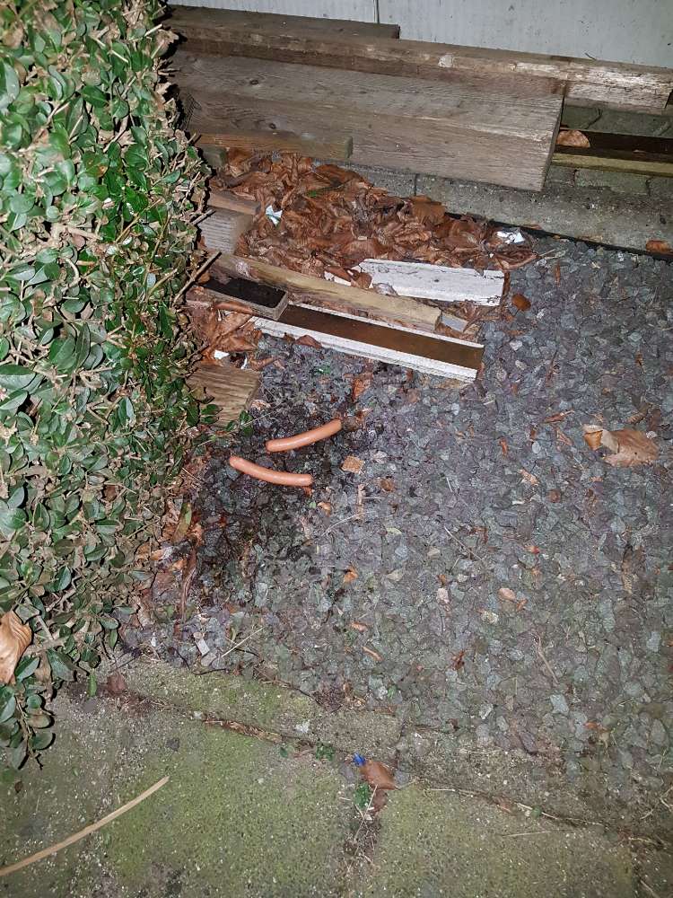 Giftköder-Verdacht auf Giftköder-Profilbild