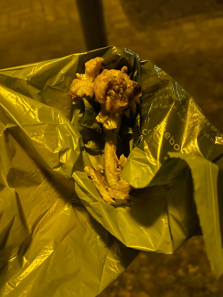 Giftköder-Hähnchenknochen mit Angelhaken-Profilbild