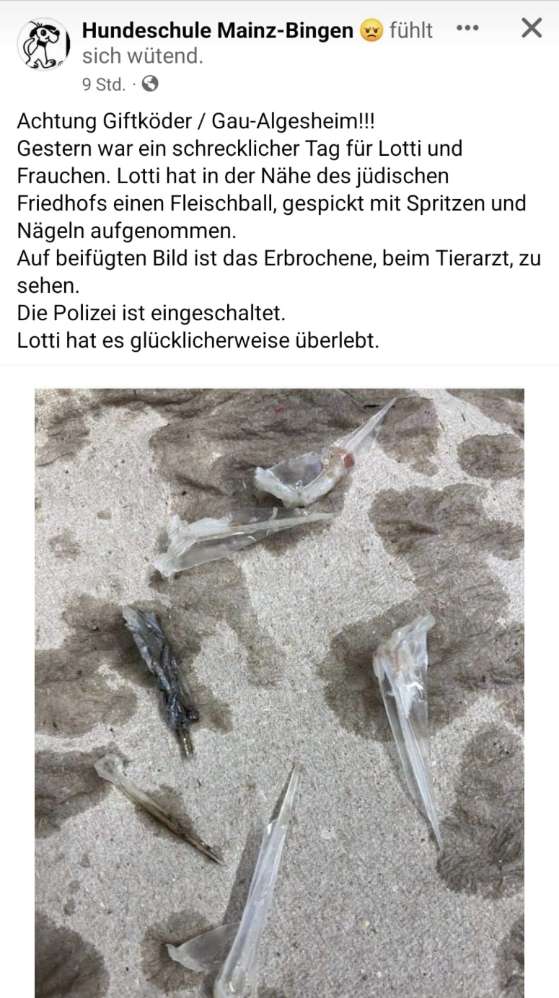 Giftköder-Fleischbällchen mit spitzen Gegenständen-Profilbild