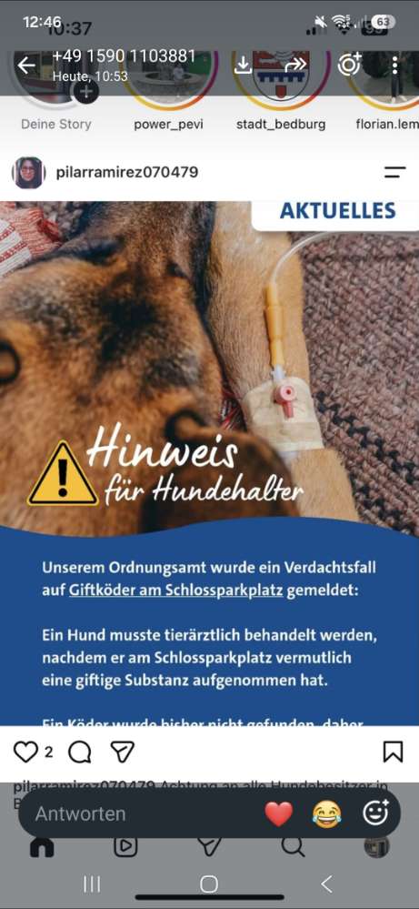 Giftköder-Mögliche Giftköder-Profilbild